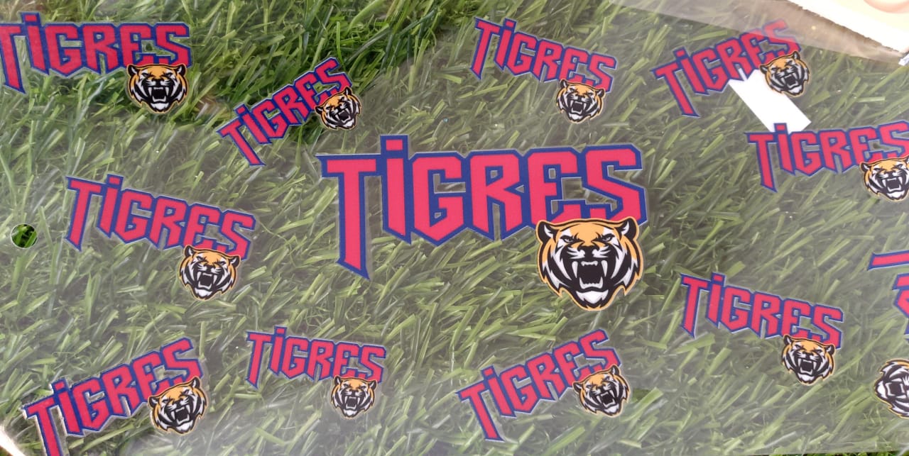 Uvdtf Equipos Beisbol 
